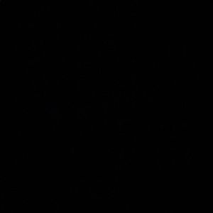 Meet your Posher, Cici